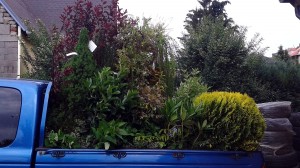 Nová zahrada-pokládka travního kobrce W-GARDEN-Realizace zahrad0007