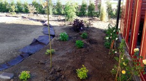 Nová zahrada-pokládka travního kobrce W-GARDEN-Realizace zahrad0011