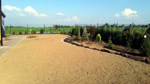 Nová zahrada-pokládka travního kobrce W-GARDEN-Realizace zahrad0012
