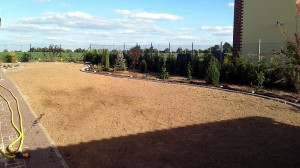 Nová zahrada-pokládka travního kobrce W-GARDEN-Realizace zahrad0013