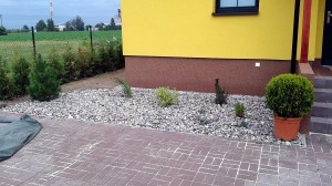 Nová zahrada-pokládka travního kobrce W-GARDEN-Realizace zahrad0017