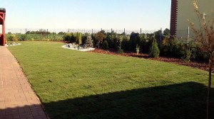 Nová zahrada-pokládka travního kobrce W-GARDEN-Realizace zahrad0029