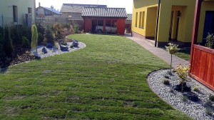 Nová zahrada-pokládka travního kobrce W-GARDEN-Realizace zahrad0032