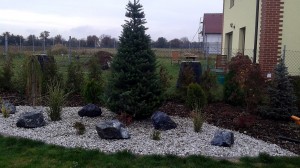 Nová zahrada-pokládka travního kobrce W-GARDEN-Realizace zahrad0038