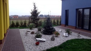 Nová zahrada-pokládka travního kobrce W-GARDEN-Realizace zahrad0040