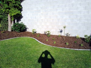 Lemování trávníku a výsadba keřů-W-GARDEN-Realizace zahrad0001