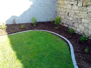 Lemování trávníku a výsadba keřů-W-GARDEN-Realizace zahrad0002