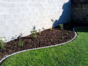 Lemování trávníku a výsadba keřů-W-GARDEN-Realizace zahrad0004
